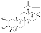 2alpha-Hydroxylupeol molecular structure (CAS 61448-03-1)