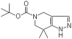7,7-Dimethyl-1,4,6,7-tetrahydropyrazolo[4,3-c]pyridine-5-carboxylic acid tert-butyl ester molecular structure (CAS 635712-88-8)