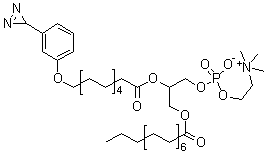 structure of CAS# 65114-56-9, (R)-7-[[11-[3-(3H-Diazirin-3-yl)phenoxy]-1-oxoundecyl]oxy]-4-hydroxy-N,N,N-trimethyl-10-oxo-3,5,9-trioxa-4-phosphapentacosan-1-aminium inner salt 4-oxide