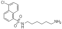 N-(6-Aminohexyl)-5-chloro-1-naphthalenesulfonamide molecular structure (CAS 65595-90-6)