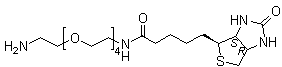 (3aS,4S,6aR)-N-(14-氨基-3,6,9,12-四氧杂十四烷-1-基)六氢-2-氧代-1H-噻吩并[3,4-d]咪唑-4-戊酰胺分子结构 (CAS 663171-32-2)