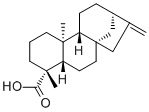 异贝壳杉烯酸分子结构 (CAS 6730-83-2)