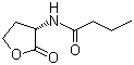 N-[(3S)-Tetrahydro-2-oxo-3-furanyl]butanamide molecular structure (CAS 67605-85-0)