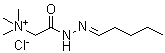 N,N,N-三甲基-2-氧代-2-(2-戊亚基肼基)氯化乙铵分子结构 (CAS 6958-20-9)
