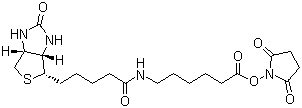 structure of CAS# 72040-63-2, Succinimidyl 6-(biotinamido)hexanoate;Biotinamidohexanoic acid N-hydroxysuccinimide ester; N-Succinimidyl N-biotinyl-6-aminocaproate; N-(+)-Biotinyl-6-aminocaproic acid N-succinimidyl ester; (+)-Biotinamidocaproate N-hydroxysuccinimidyl ester
