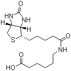 结构式 CAS# 72040-64-3, N-生物素己酸