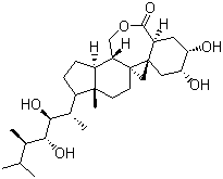 Brassinolide molecular structure (CAS 72962-43-7)