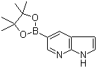 7-Azaindole-5-boronic acid pinacol ester molecular structure (CAS 754214-56-7)