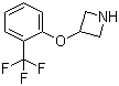 3-[2-(Trifluoromethyl)phenoxy]azetidine molecular structure (CAS 76263-24-6)
