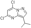 5,7-二氯-3-异丙基吡唑并[1,5-a]嘧啶分子结构 (CAS 771510-32-8)