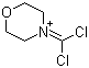 4-(Dichloromethylene)morpholinium molecular structure (CAS 790600-30-5)