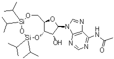 N-Acetyl-3',5'-O-[1,1,3,3-tetrakis(1-methylethyl)-1,3-disiloxanediyl]adenosine molecular structure (CAS 828247-65-0)