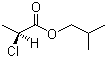 (S)-2-氯丙酸异丁酯分子结构 (CAS 83261-15-8)