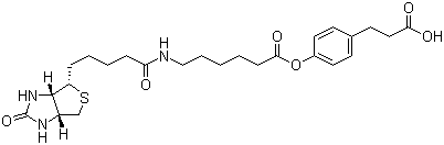 3-(4-(N-Biotinoyl-6-aminocaproyloxy)phenyl)propionic acid molecular structure (CAS 83592-10-3)