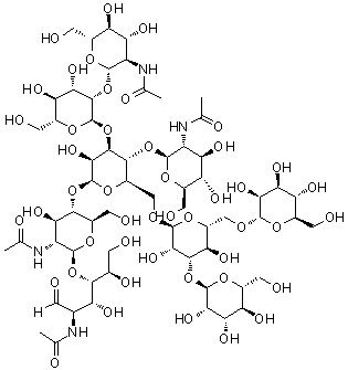 O-2-(乙酰氨基)-2-脱氧-beta-D-吡喃葡萄糖基-(1→4)-O-[O-2-(乙酰氨基)-2-脱氧-beta-D-吡喃葡萄糖基-(1→2)-alpha-D-甘露糖基-(1→3)]-O-[O-alpha-D-甘露糖基-(1→3)-O-[alpha-D-甘露糖基-(1→6)]-alpha-D-甘露糖基-(1→6)]-O-beta-D-甘露糖基-(1→4)-O-2-(乙酰氨基)-2-脱氧-beta-D-吡喃葡萄糖基-(1→4)-2-(乙酰氨基)-2-脱氧-D-葡萄糖分子结构 (CAS 84182-21-8)