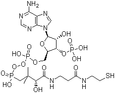 结构式 CAS# 85-61-0, 辅酶 A