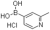 2-Methylpyridine-4-boronic acid hydrochloride molecular structure (CAS 861905-97-7)