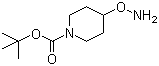 tert-Butyl 4-(aminooxy)piperidine-1-carboxylate molecular structure (CAS 867034-25-1)