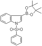 1-(Phenylsulfonyl)-3-indoleboronic acid pinacol ester molecular structure (CAS 870717-93-4)