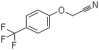 2-[4-(Trifluoromethyl)phenoxy]acetonitrile molecular structure (CAS 874804-02-1)
