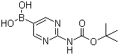 结构式 CAS# 883231-25-2, [2-(叔丁氧羰基氨基)嘧啶-5-基]硼酸