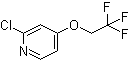 2-Chloro-4-(2,2,2-trifluoroethoxy)pyridine molecular structure (CAS 885277-01-0)