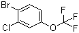 结构式 CAS# 892845-59-9, 1-溴-2-氯-4-(三氟甲氧基)苯