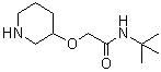 N-(1,1-Dimethylethyl)-2-(3-piperidinyloxy)acetamide molecular structure (CAS 902836-73-1)