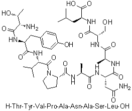 L-Threonyl-L-tyrosyl-L-valyl-L-prolyl-L-alanyl-L-asparaginyl-L-alanyl-L-seryl-L-leucine molecular structure (CAS 921621-38-7)