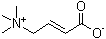 巴豆甜菜碱分子结构 (CAS 927-89-9)