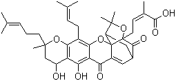 Neogambogic acid molecular structure (CAS 93772-31-7)