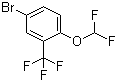 4-Bromo-1-(difluoromethoxy)-2-(trifluoromethyl)benzene molecular structure (CAS 954236-13-6)