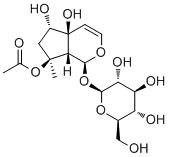 6-Epi-8-O-acetylharpagide molecular structure (CAS 97169-44-3)