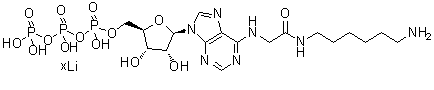 N-[2-[(6-Aminohexyl)amino]-2-oxoethyl]adenosine 5'-(tetrahydrogen triphosphate) lithium salt molecular structure (CAS 98704-19-9)